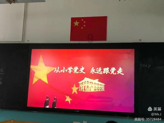可爱的小考拉