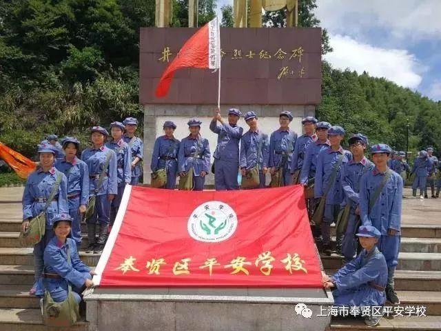 饥饿的松鼠救援